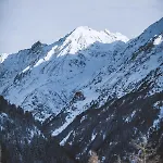 Neururer